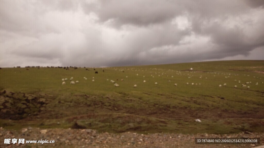 草原上的阴云与羊群
