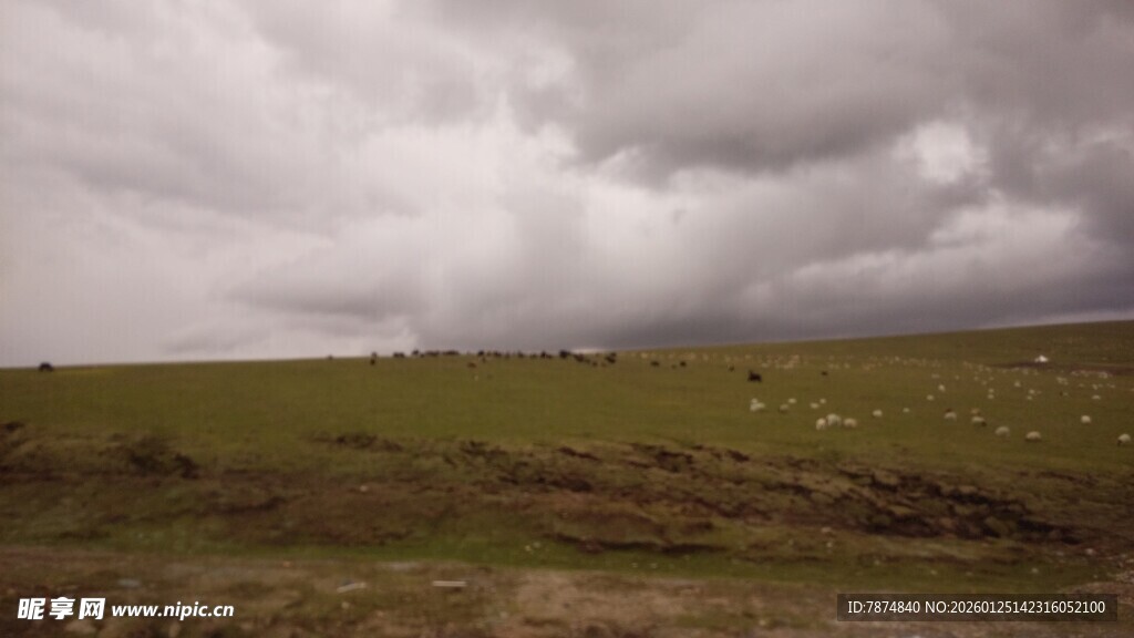 草原上的阴沉天空