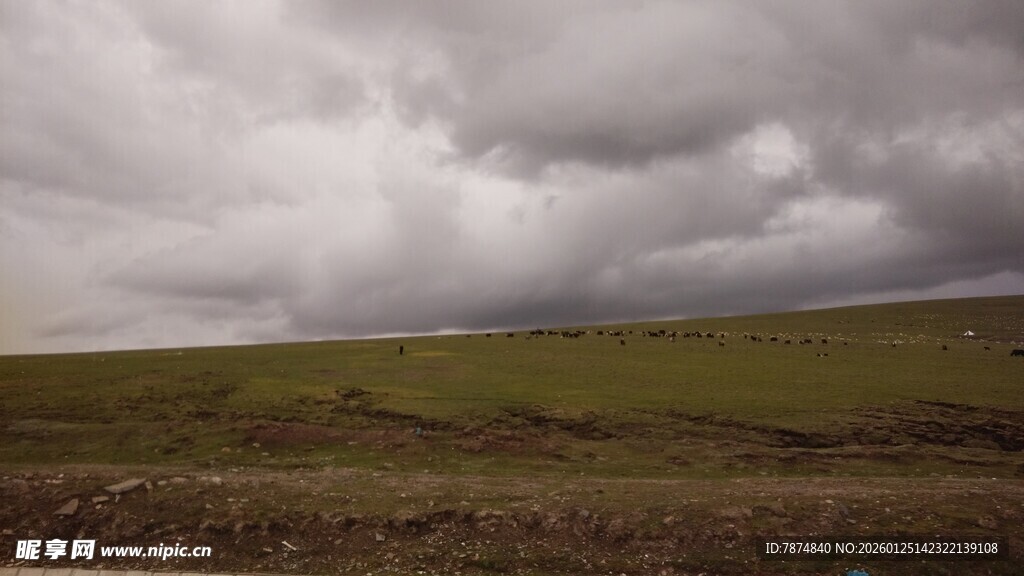 草原上的阴沉天空