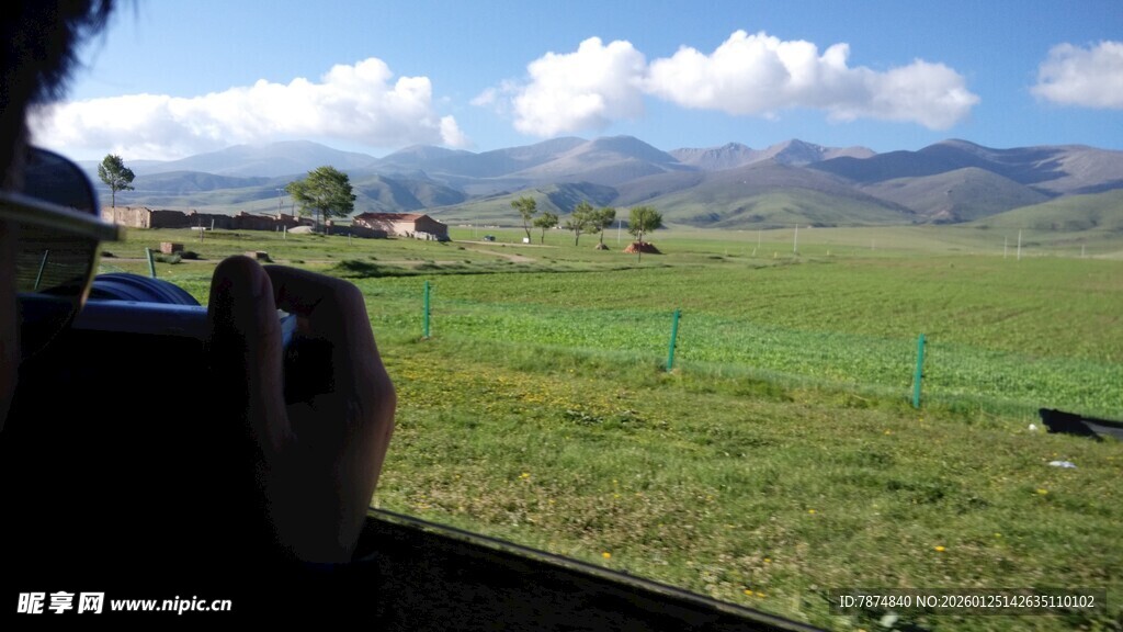 草原风光中的摄影瞬间