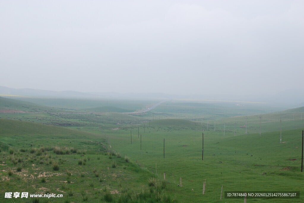 草原雨景 绿意盎然