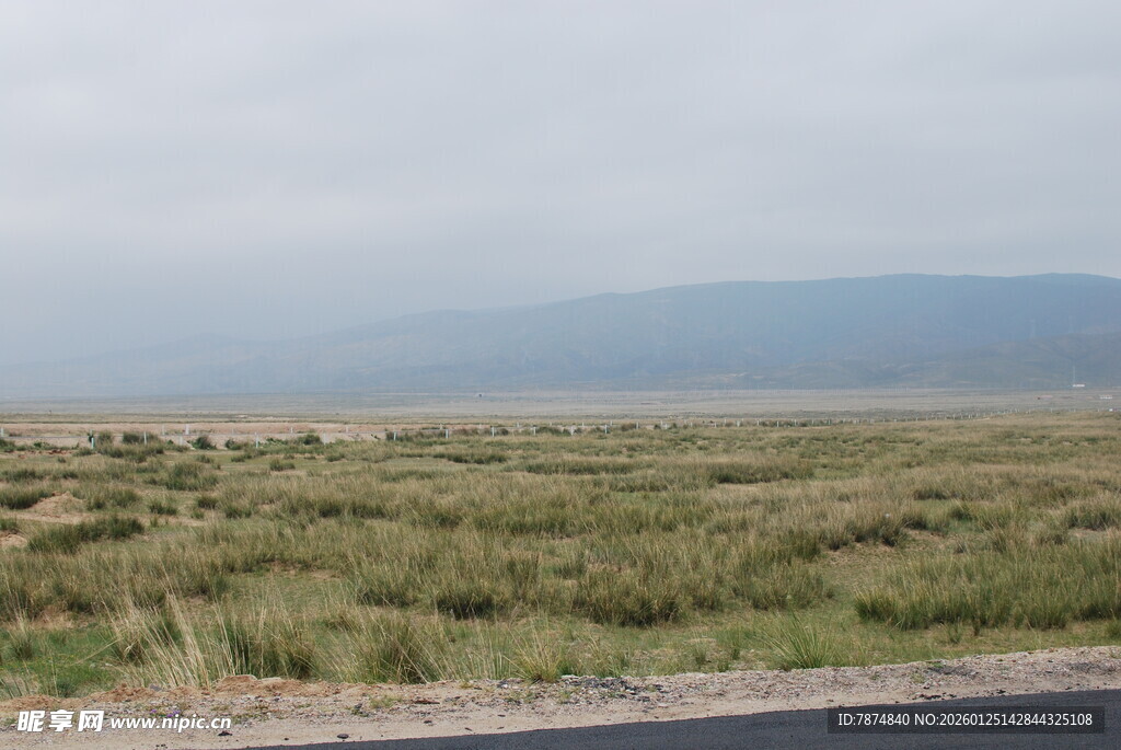 公路边的开阔草原景观