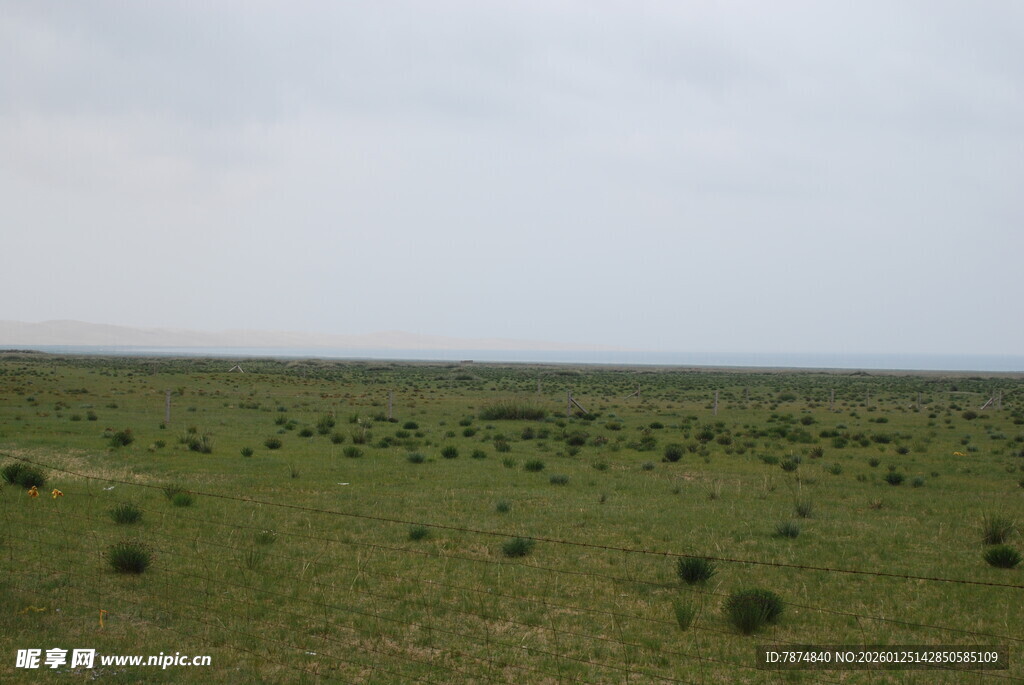 广袤草原绿意盎然