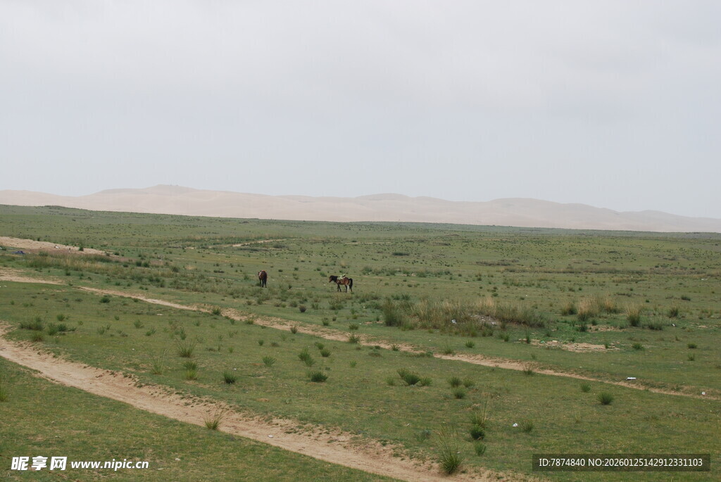 广袤草原中的蜿蜒小路