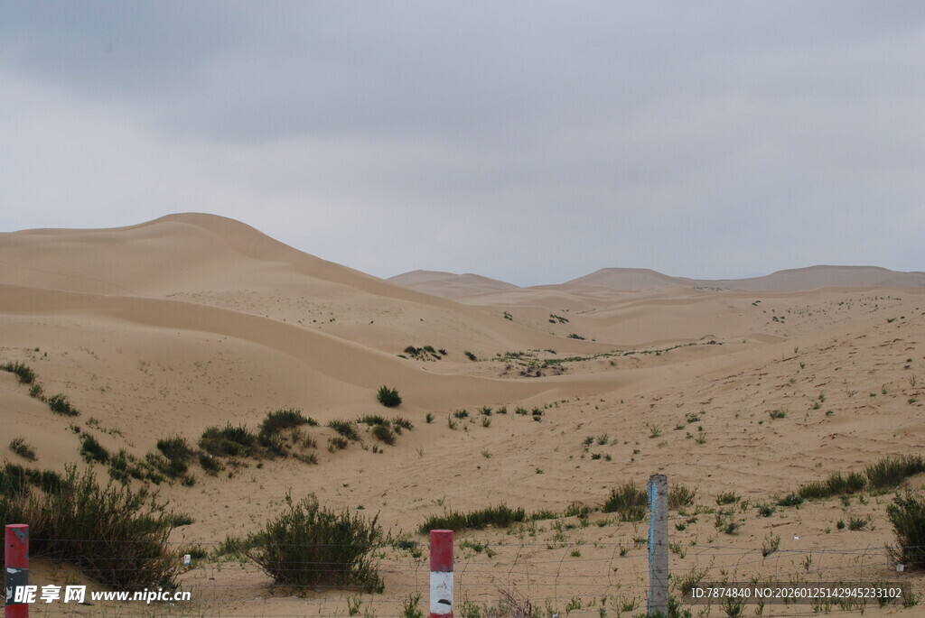 沙漠中的徒步者与绿植