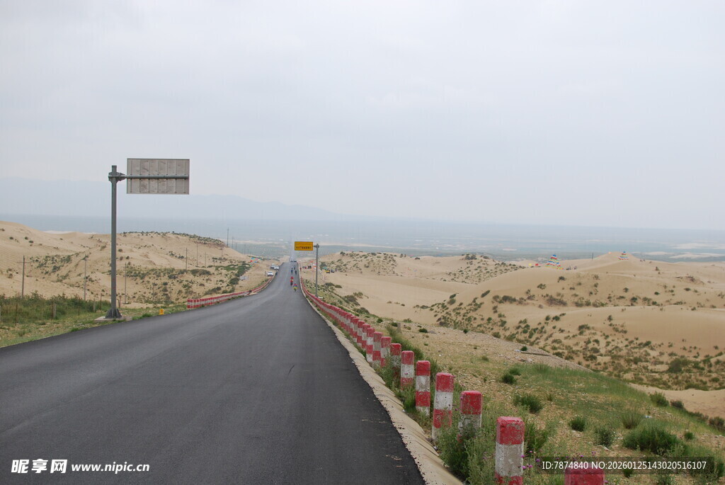 沙漠公路旁绽放的艳丽花朵