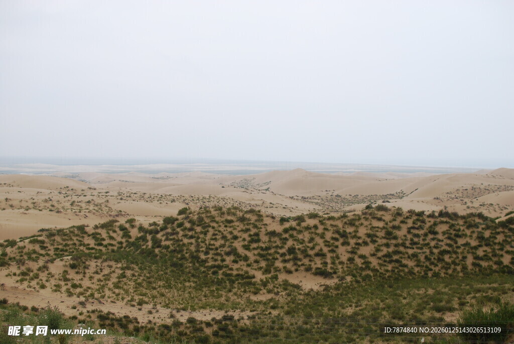 广袤沙漠中的绿植景观