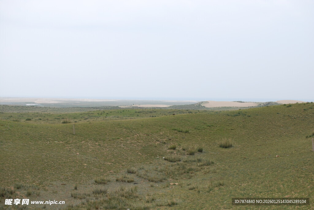 广袤草原 留下串串足迹
