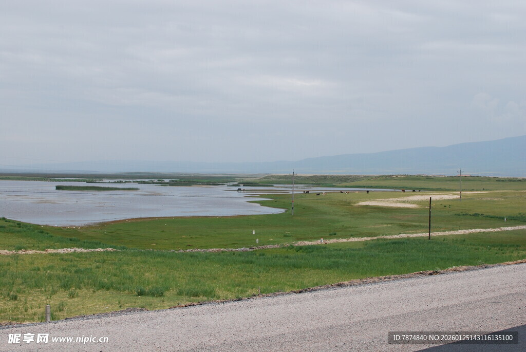 公路旁的湿地风光