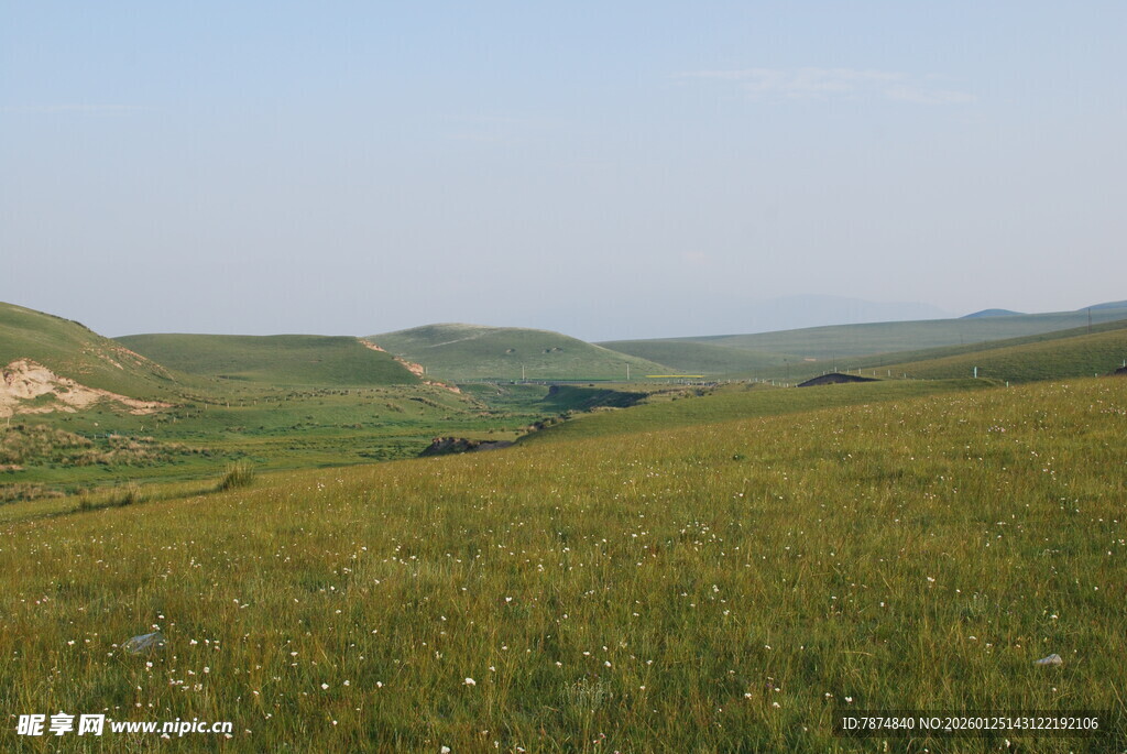 广袤草原风光