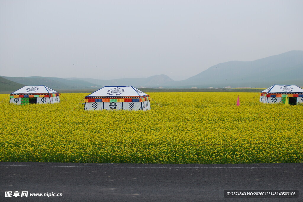 草原花海中的特色帐篷