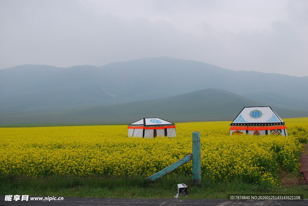 草原花海中的特色小屋