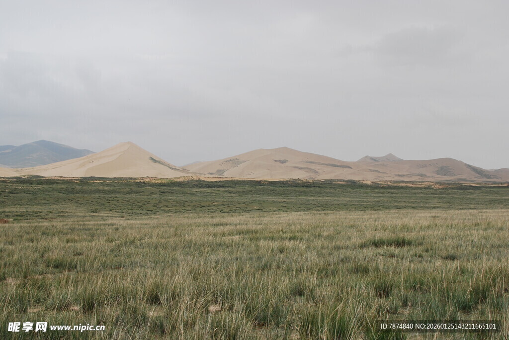 广袤草原与远处沙丘景观
