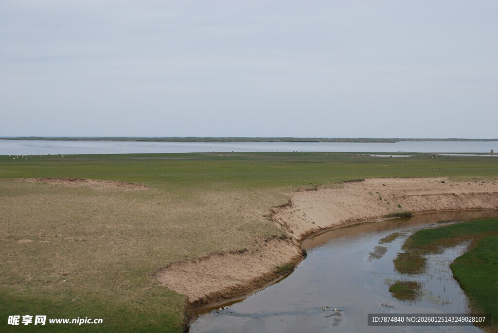 河岸风光 草地与河水相依