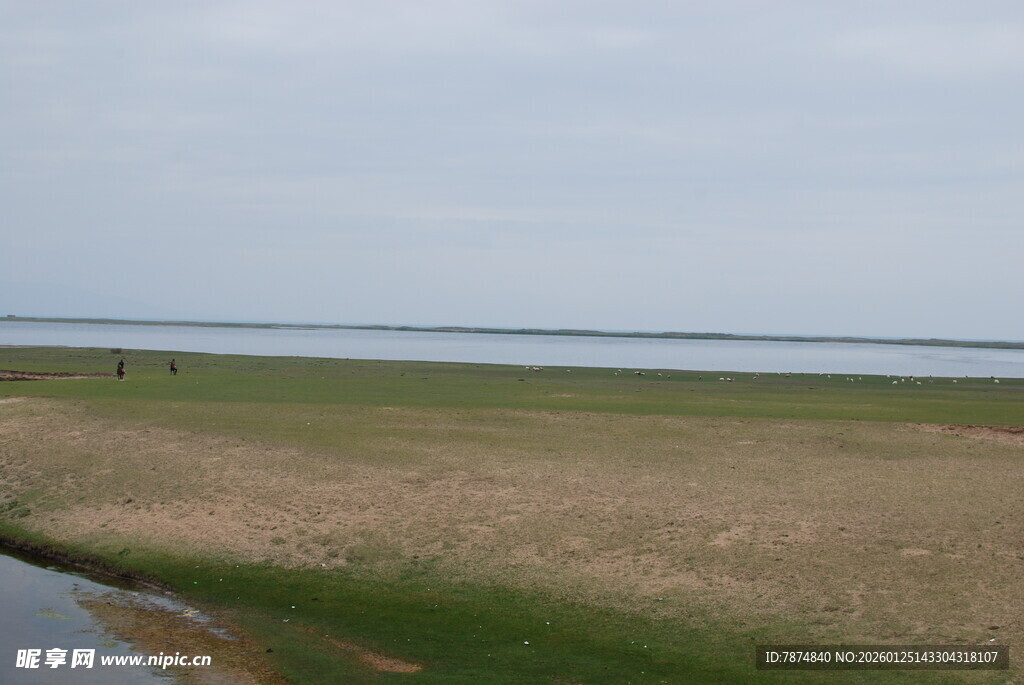 广阔草原与远处水域景观