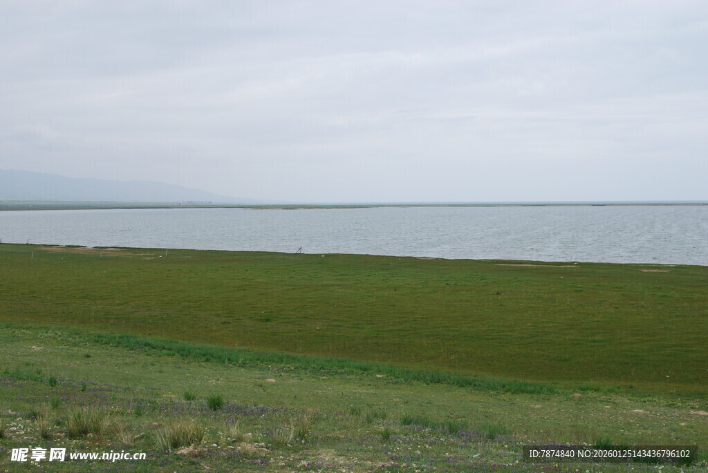 湖畔绿野风光