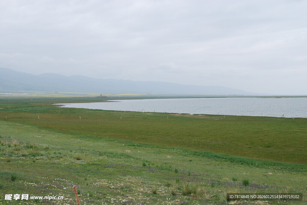 草原湖畔风光