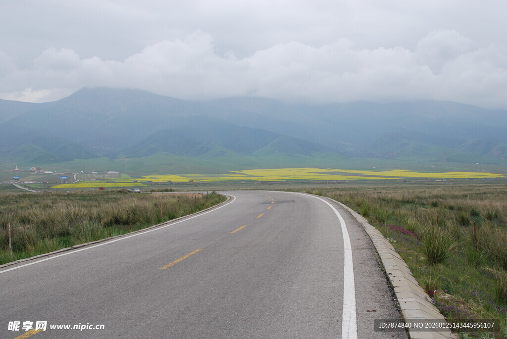 蜿蜒公路旁的田园风光