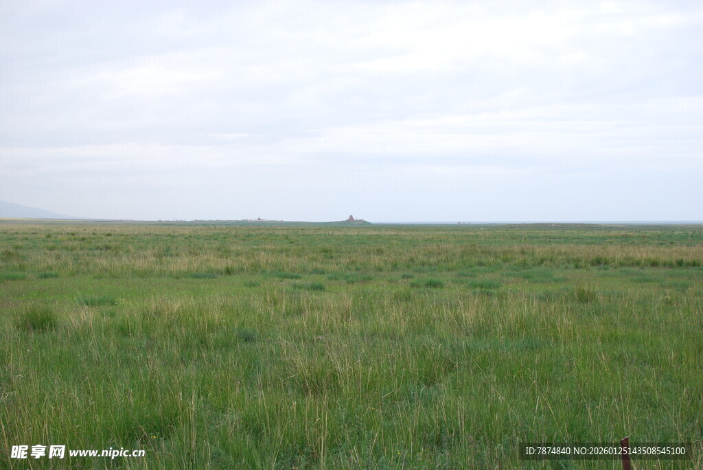 广袤草原风光