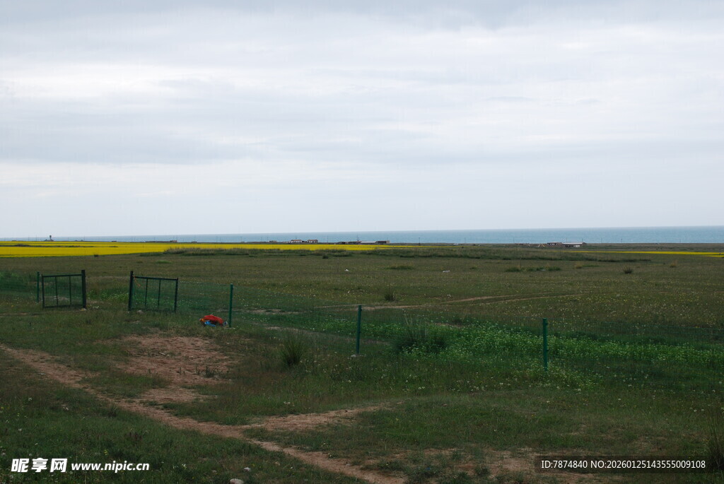田野风光中的围栏与土路