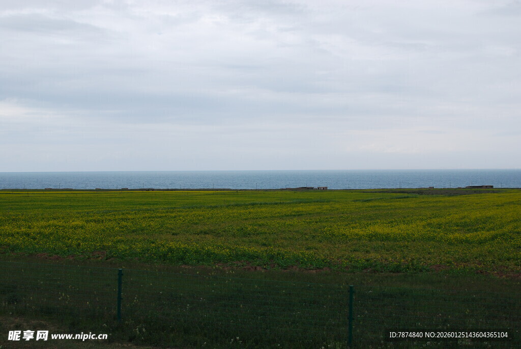 广袤草原与天际线美景