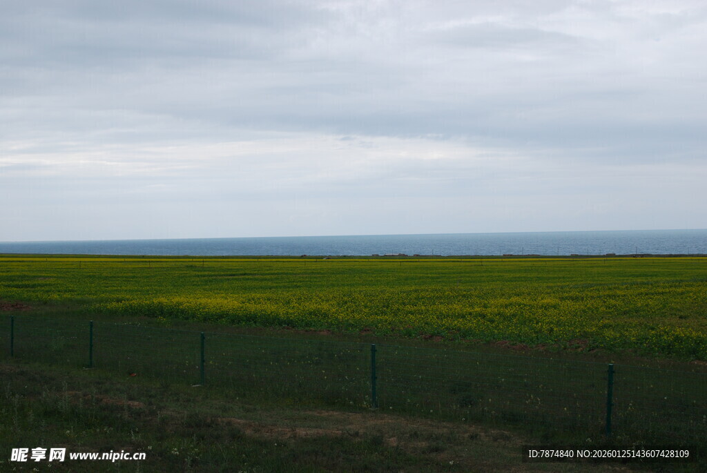 草原花海与天际线景观