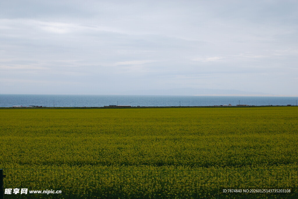 广袤绿色田野与远方天际