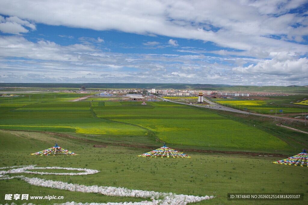 草原风光 牛羊点缀绿野