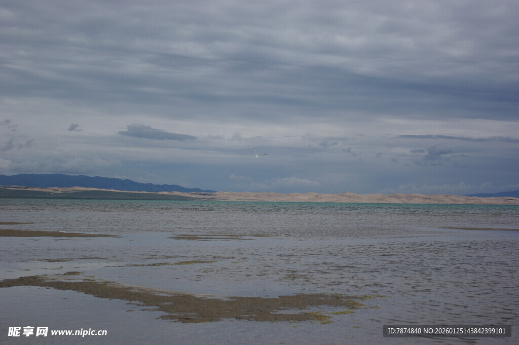 海边阴沉天空下的滩涂景色