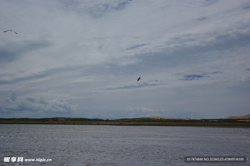 天空下的水面与飞鸟