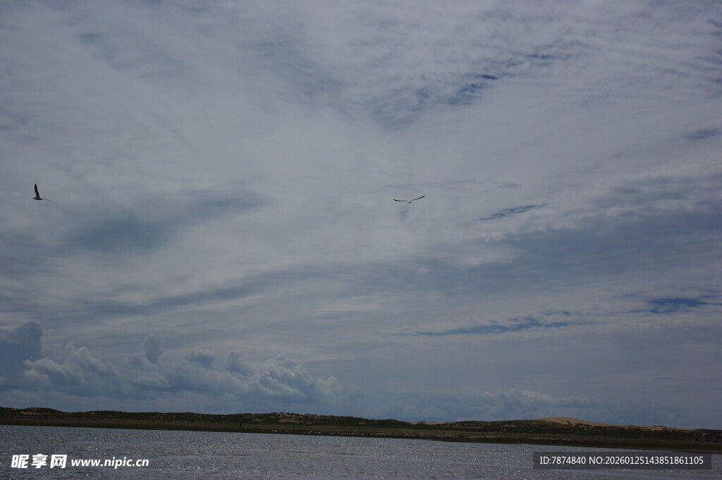 天空下的水域与飞鸟景观