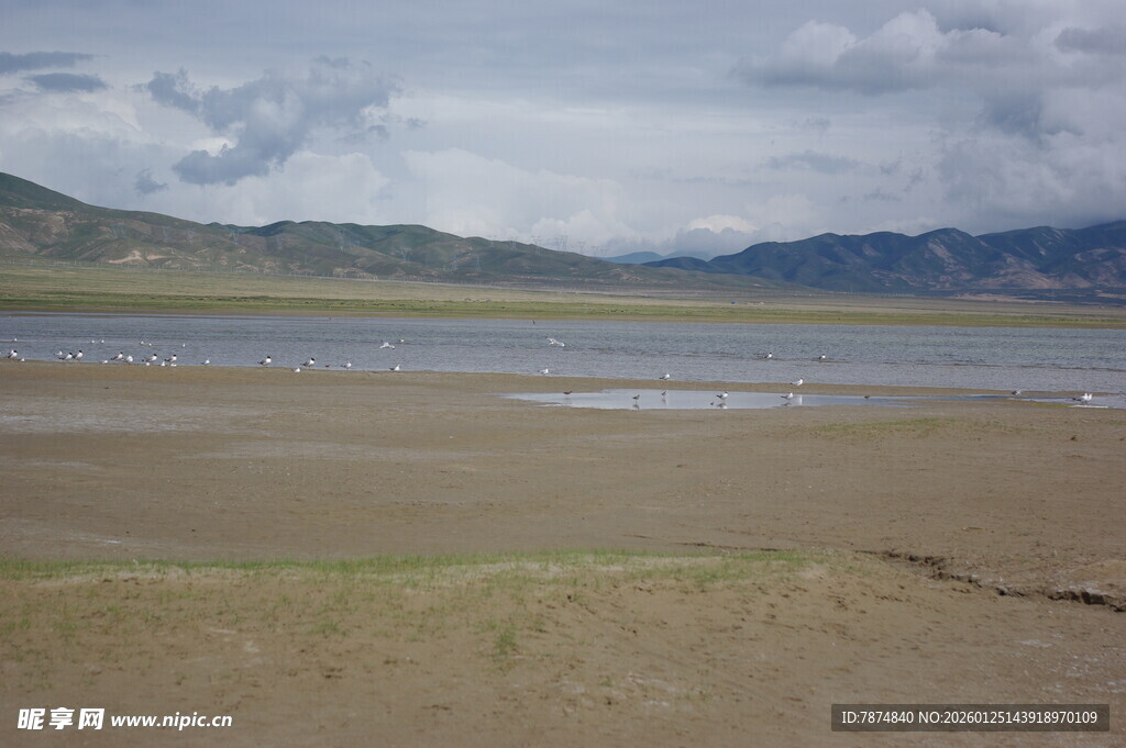广袤草原旁的宁静水域