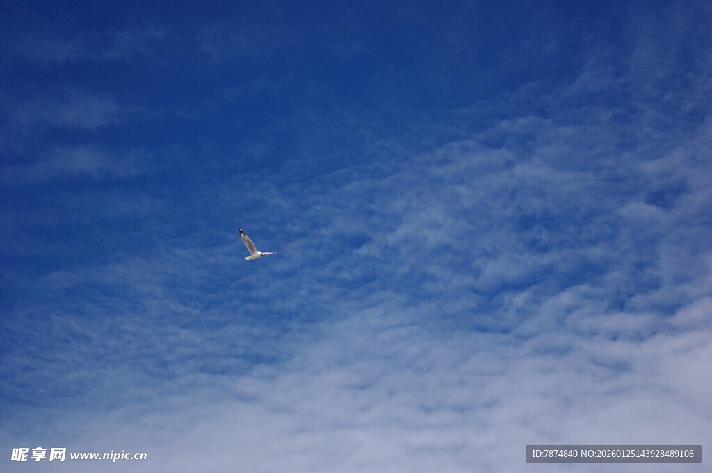 蓝天中飞翔的不明飞行物