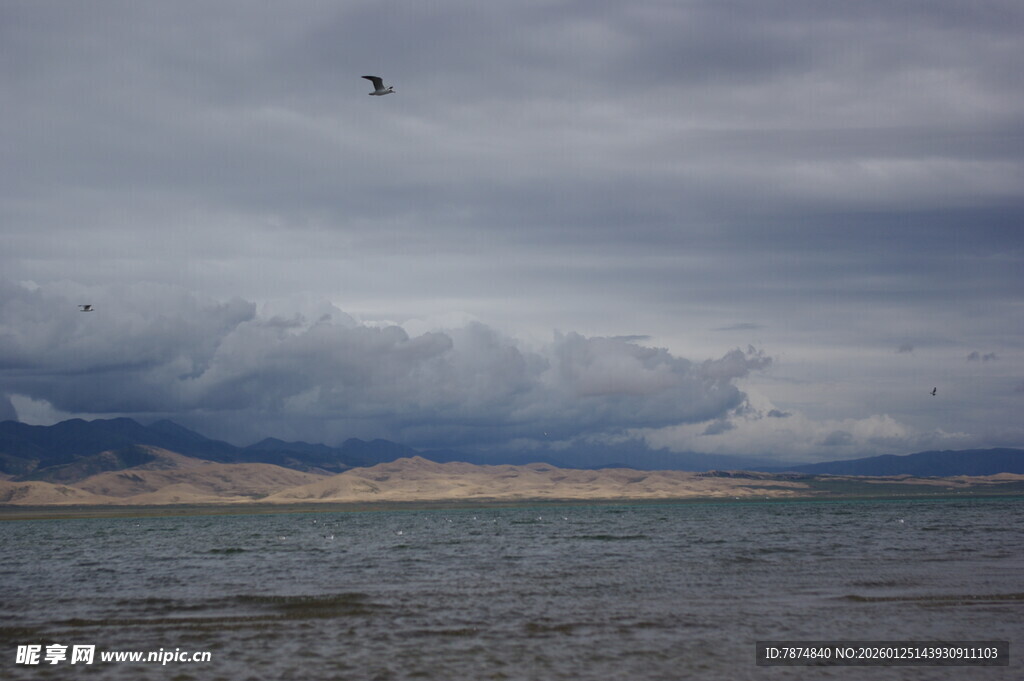 乌云下飞鸟掠过广阔水域