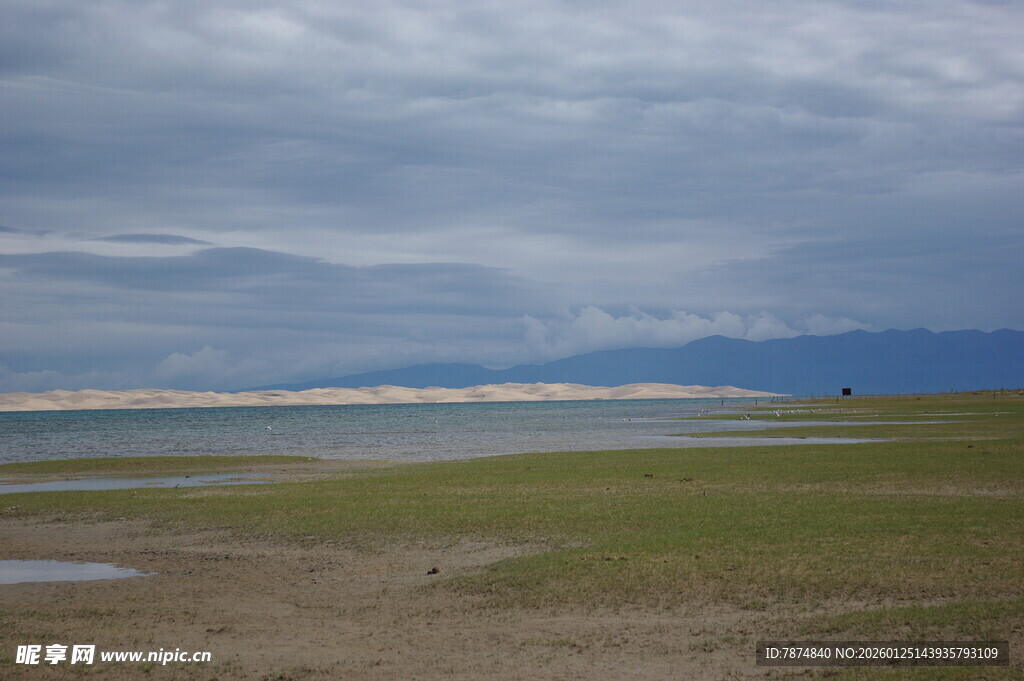 草原湿地阴天风景图