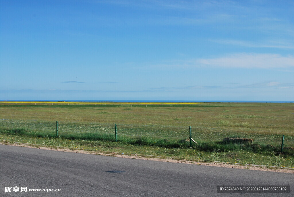 公路旁的开阔草原风景