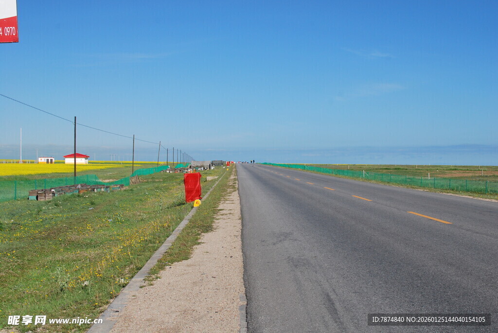 公路旁多彩田野风景