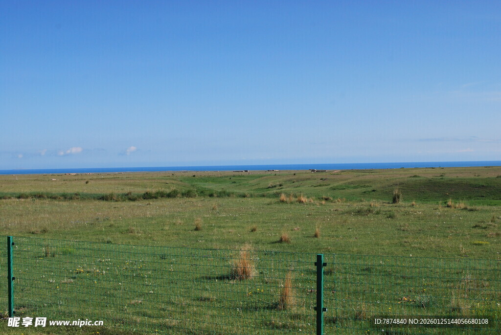 草原风光 远方蓝天与围栏