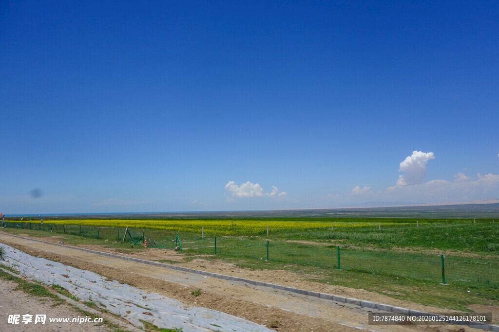 田野风光 蓝天绿野黄花