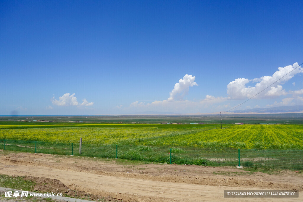 田野风光 蓝天白云下的美景