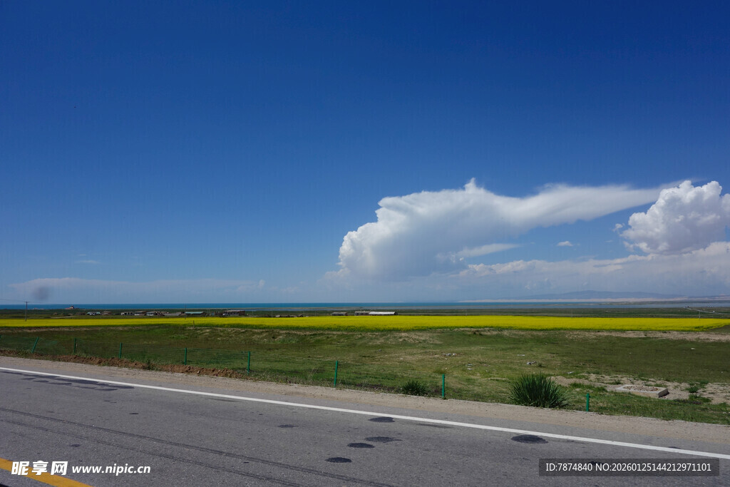 公路边广袤原野与白云