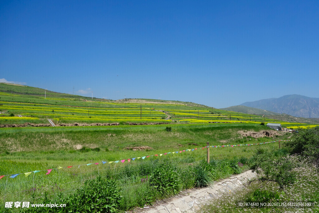 田园风光中的多彩田野
