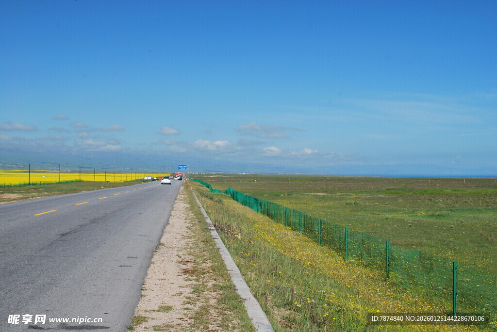 公路旁的灿烂花海与蓝天