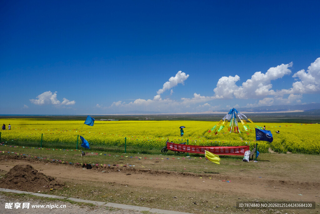 田野中的游乐设施