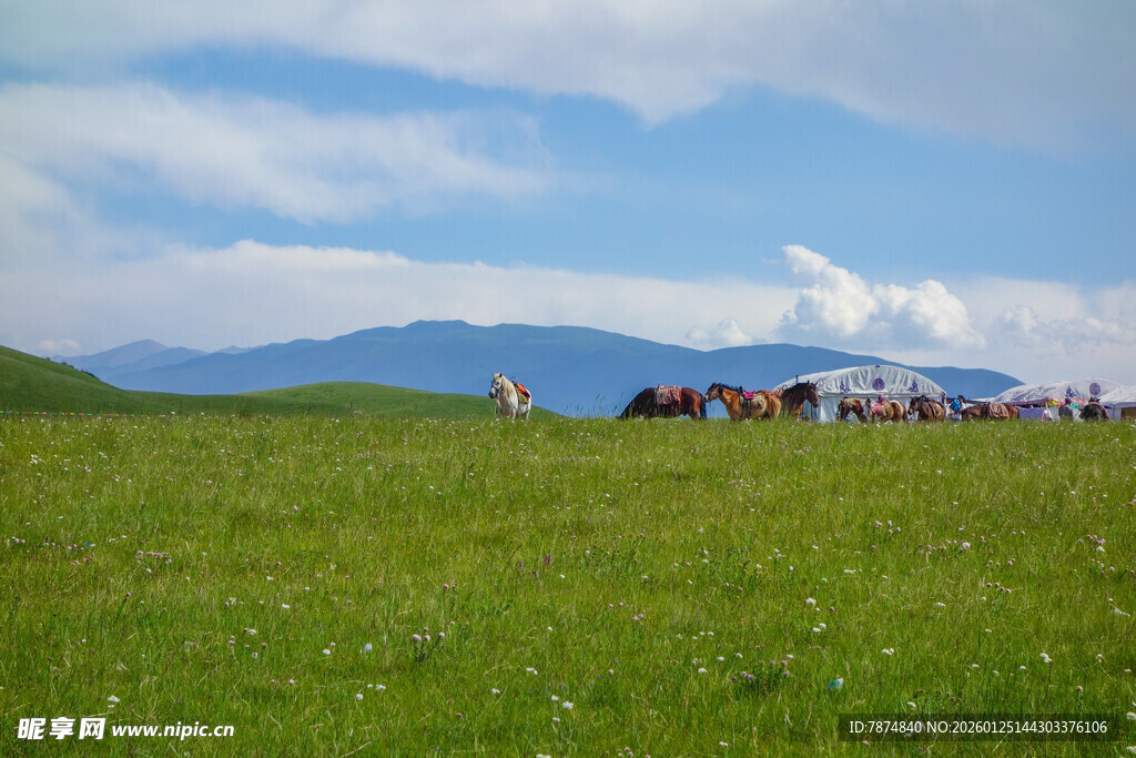 草原上的人群与壮美风光