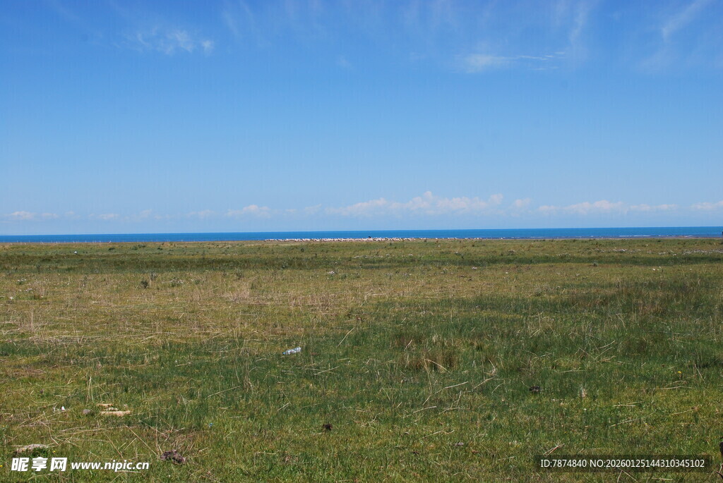 广袤草原与远方蓝天相接