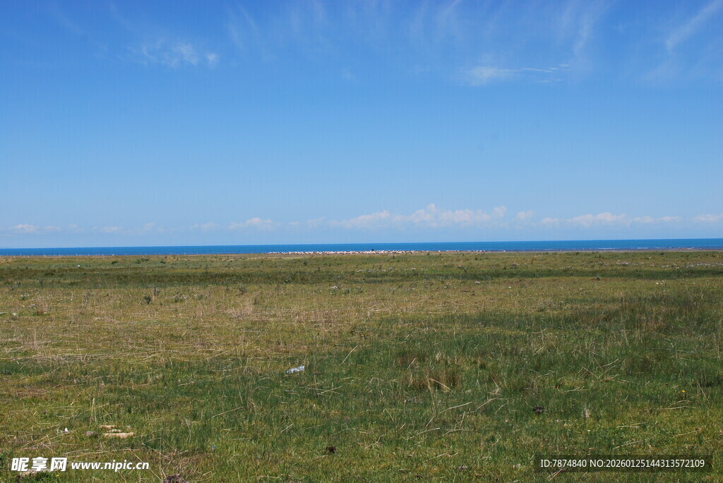 草原与蓝天相接的开阔景致
