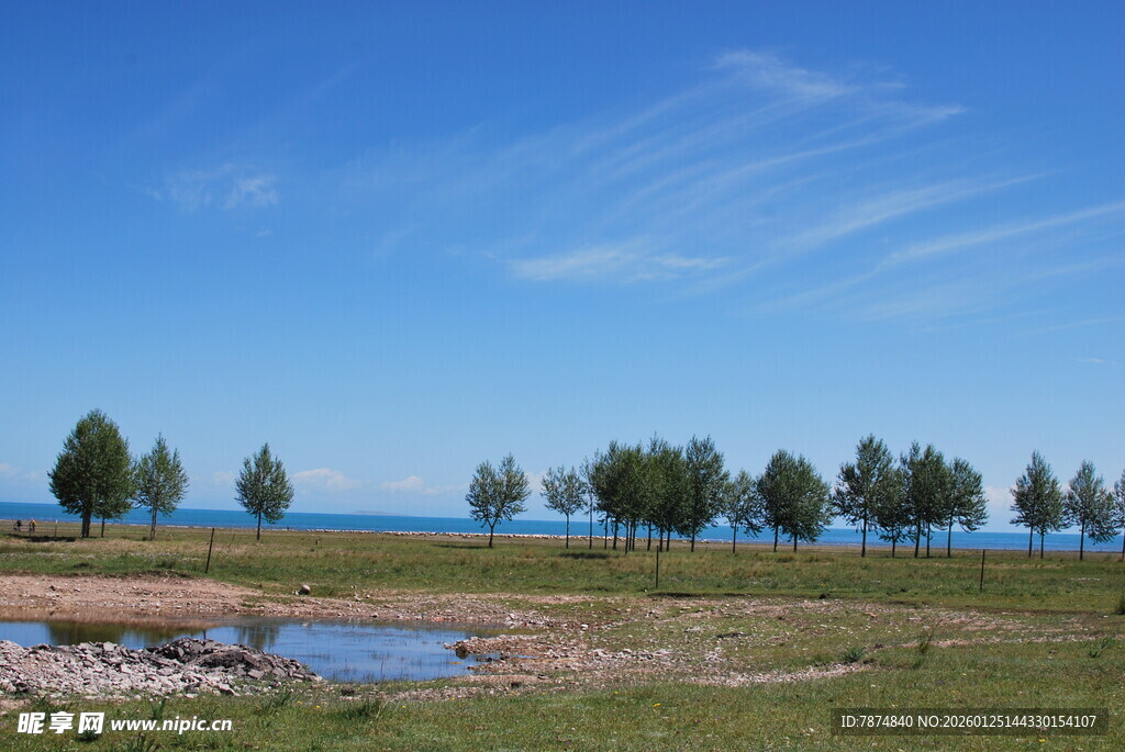 草原湖畔树木风景图