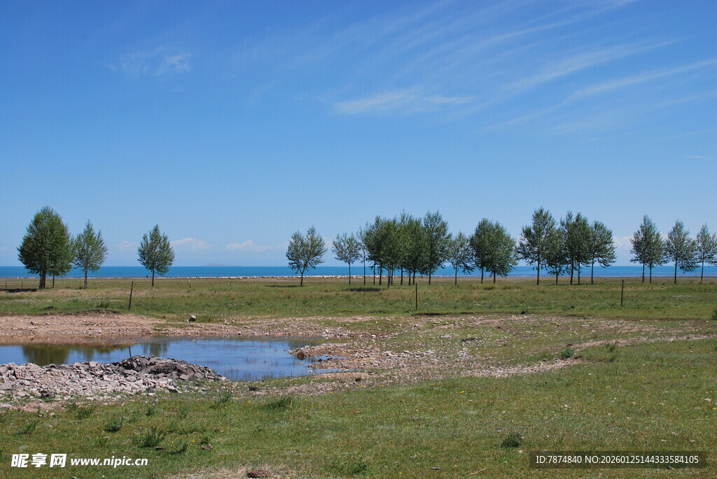 湖畔草地树木风景图