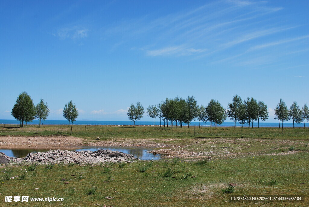 湖畔草地树木风景图